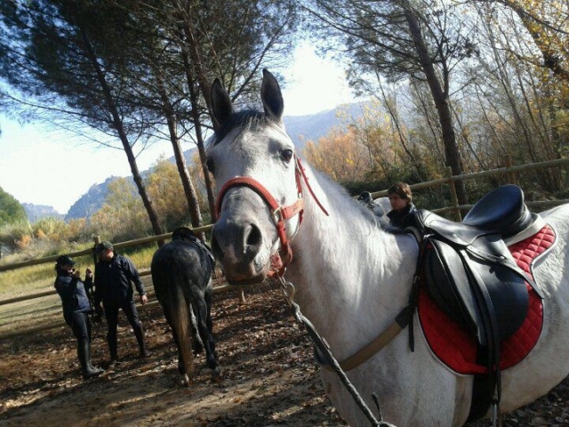  Itinerari a cavallo a Cofrentes 